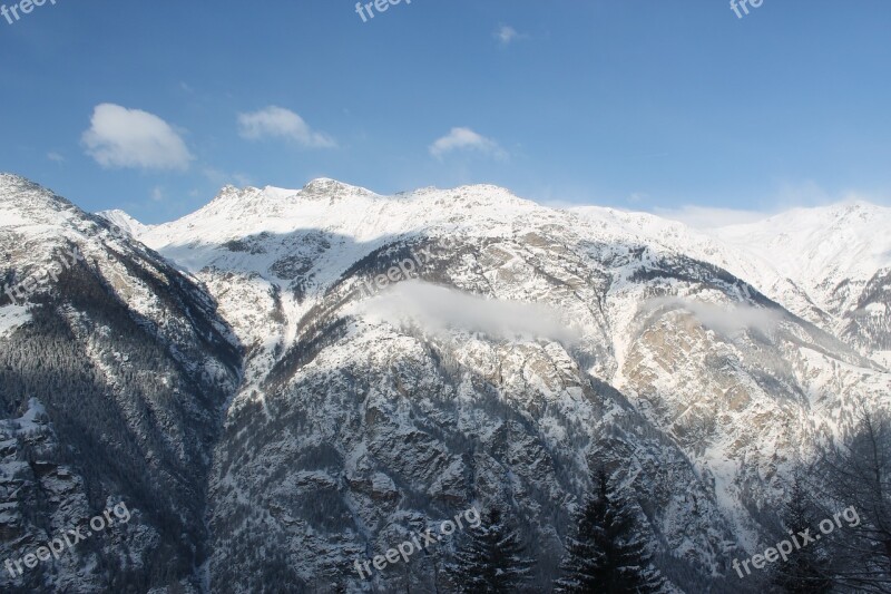 Mountains Firs Alpine Landscape Nature