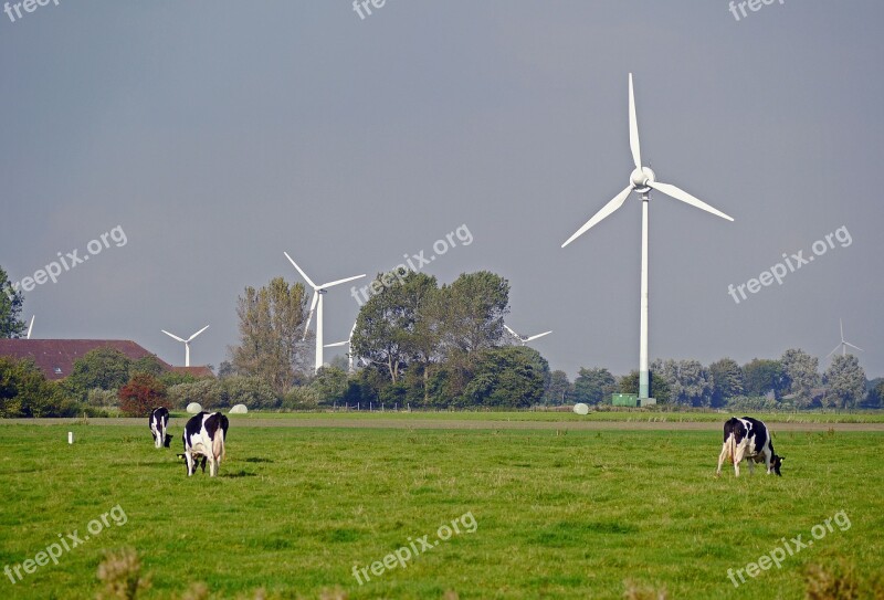 East Frisia Pasture Dairy Farming Windräder Wind Power