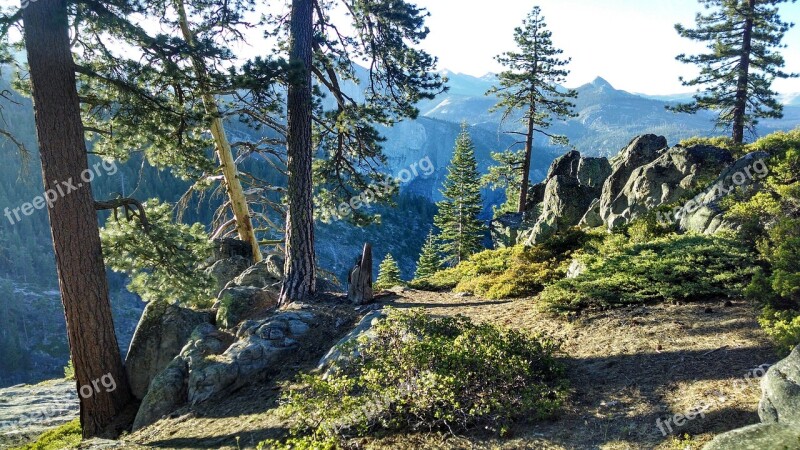 Yosemite High Country Trees Shadows Free Photos