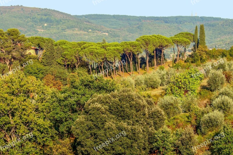 Tuscany Italy Landscape Chianti Toscana