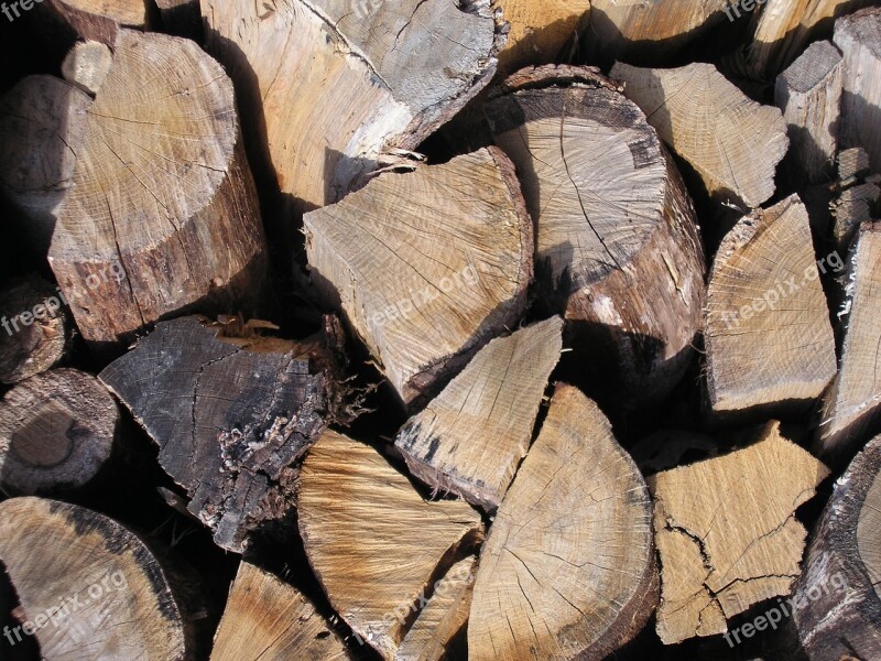 Wood Logs Forest Wood Pile Free Photos