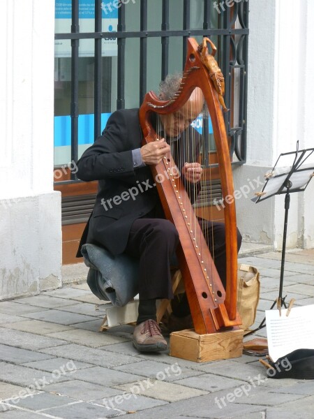 Bratislava Street Musician Harp Free Photos