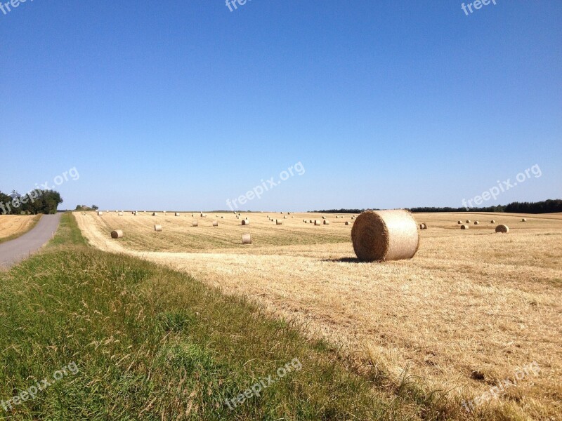 Summer Harvest Field Farming Agricultural