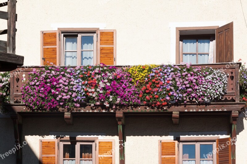 Balcony Floral Decorations Architecture House Balcony Plant