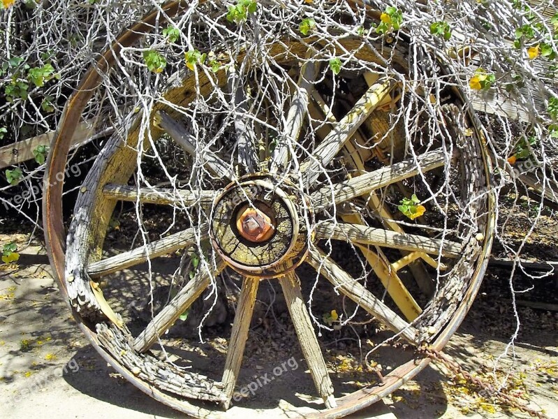 Wagon Wheel Old Transportation Wooden