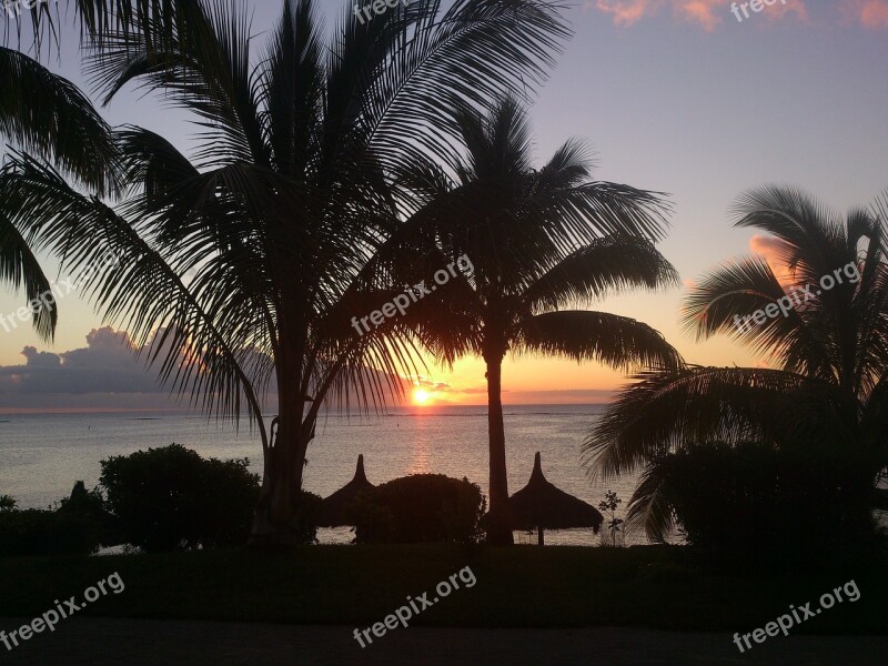 Sunset Palm Trees Beach Mauritius Vacations