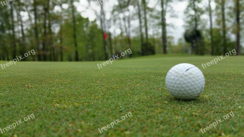 Green Grass Golf Ball Course