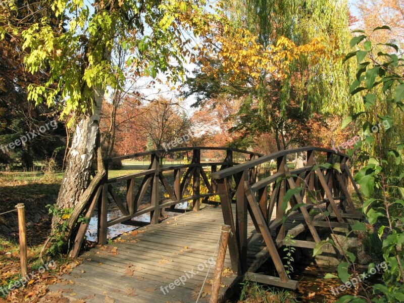 Autumn Trees Fall Autumn Natural Lake