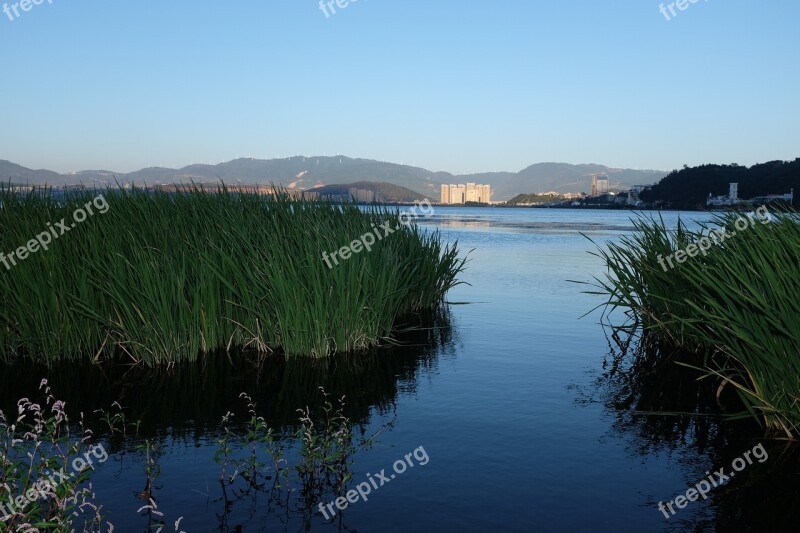 Dali Lake Reed China Evening