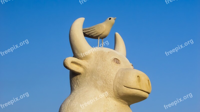 Ayia Napa Cyprus Sculpture Park Bull Bird