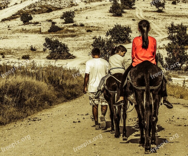 Donkey Ride Kids Donkey Fun Children