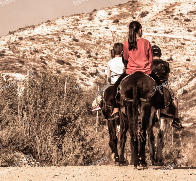 Donkey Ride Kids Donkey Fun Children