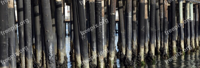 Wooden Posts Sea Sea Bridge Water Boardwalk