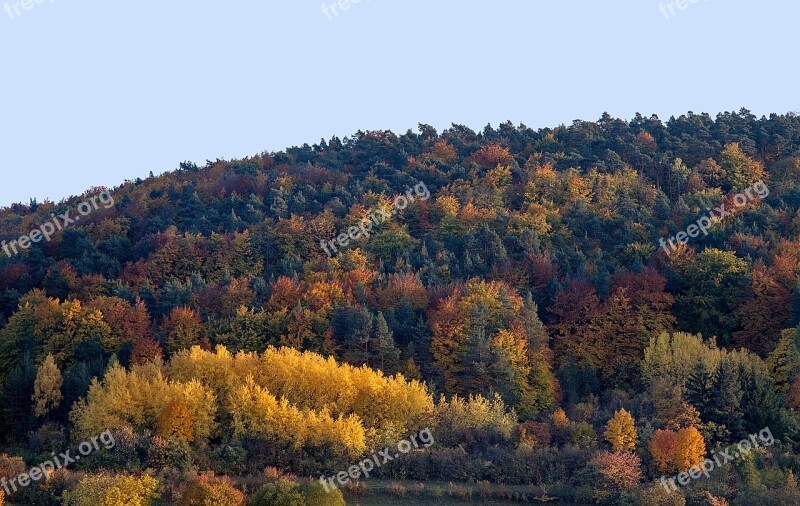 Autumn Leaves Fall Leaves Autumn Colours Fall Color