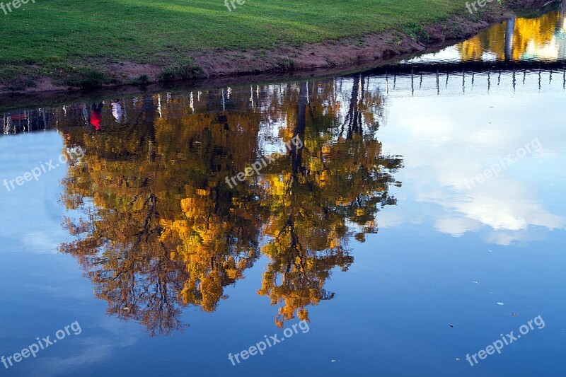 Autumn Leaves Fall Leaves Autumn Colours Fall Color