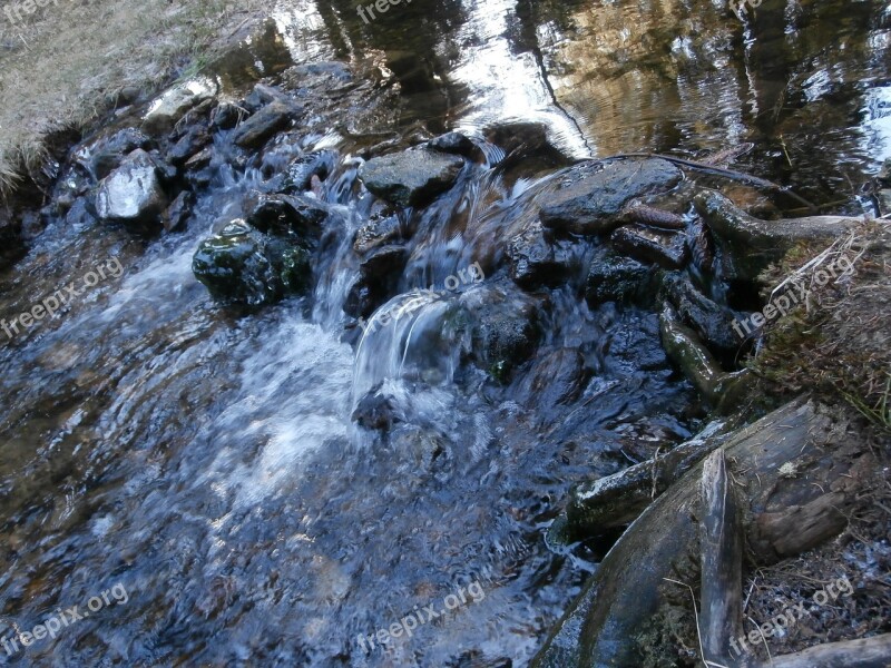 Stream Water Running Water Free Photos