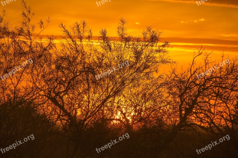 Morning Sun åmosen Sunrise Orange Sky Trees