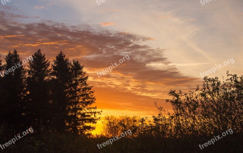 Morning Sun åmosen Sunrise Orange Sky Trees