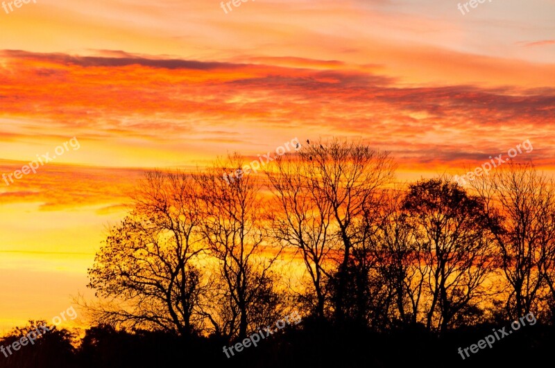 Morning Sun åmosen Sunrise Orange Sky Trees