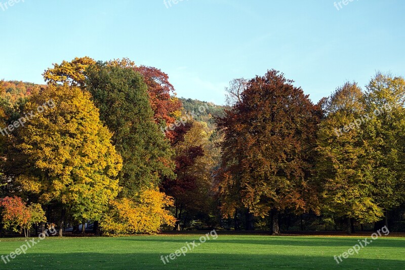 Autumn Leaves Fall Leaves Autumn Colours Fall Color