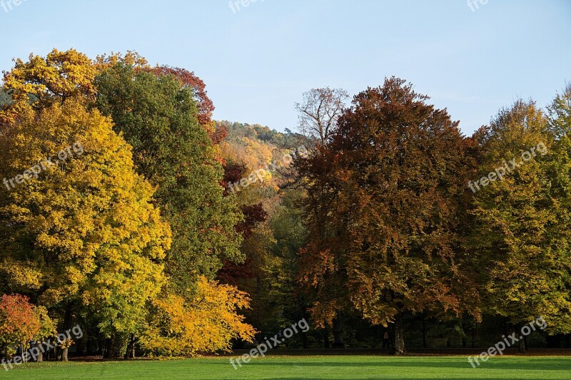 Autumn Leaves Fall Leaves Autumn Colours Fall Color