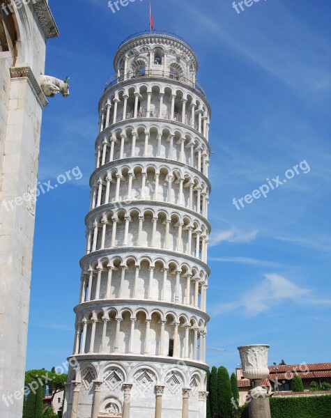 Pisa Torre Tower Of Pisa White Piazza Dei Miracoli