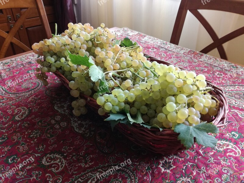 Trash Grapes Fruit Tray Leaves