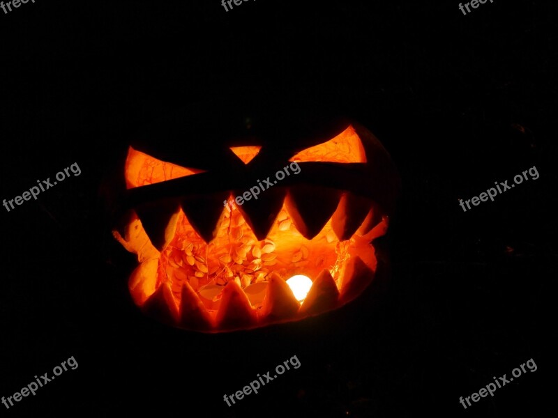 Halloween Pumpkin Faces Free Photos