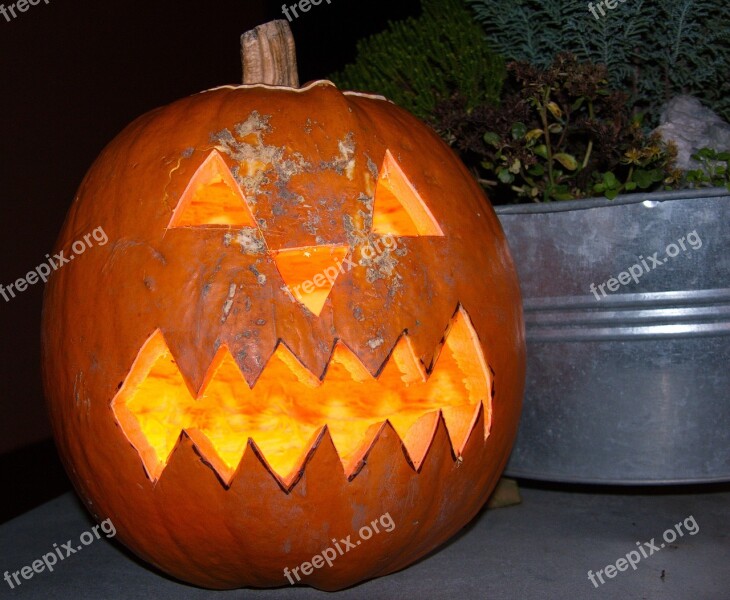 Halloween Pumpkin Faces Free Photos