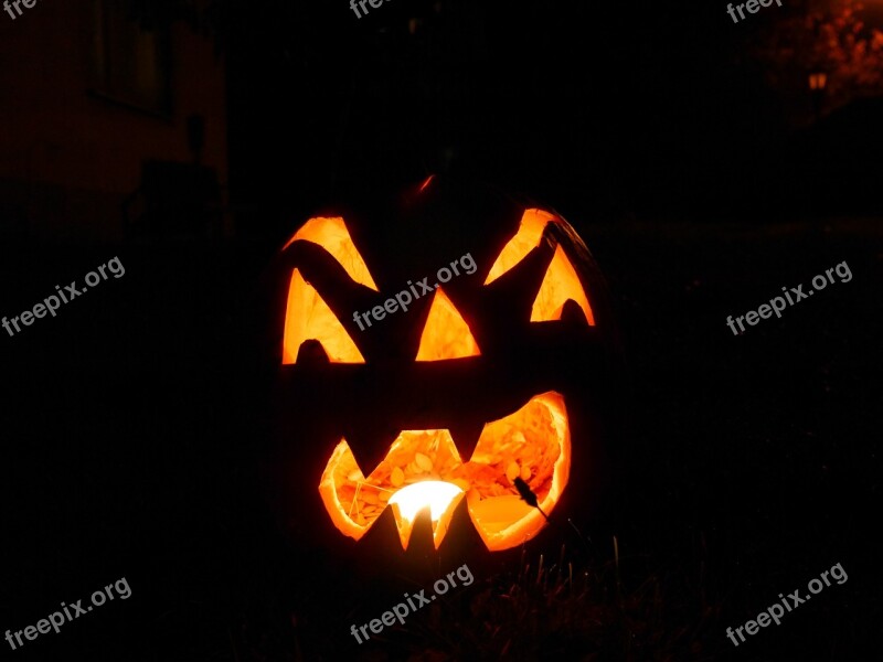 Halloween Pumpkin Faces Free Photos