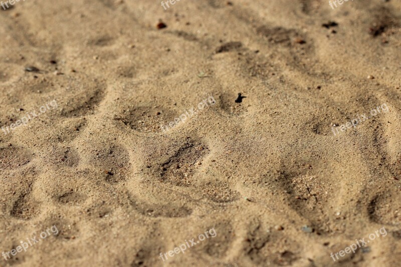 Kruger Fate Sand Beach Soil