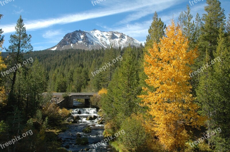 Stream Scenic Autumn Landscape Flowing