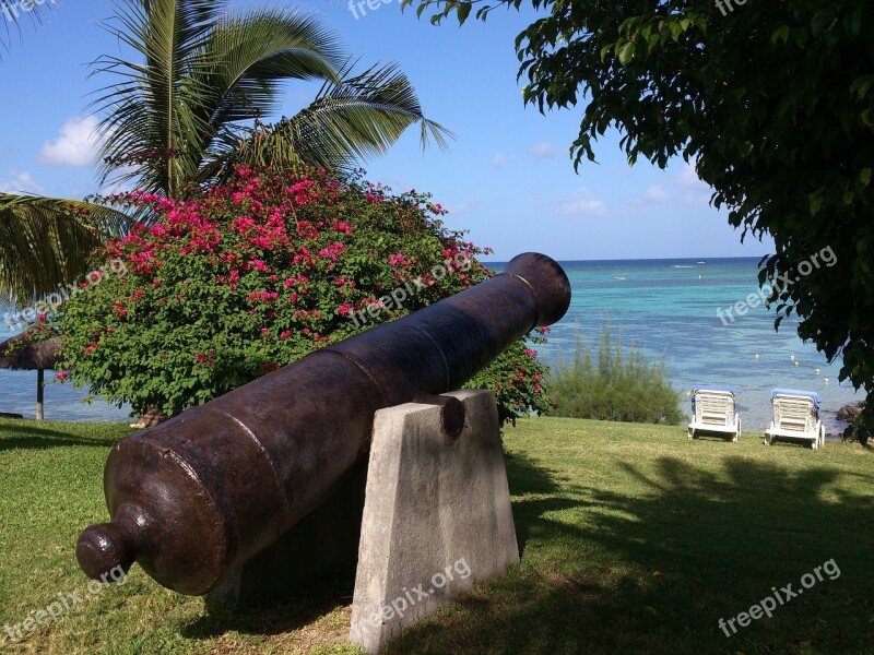 Mauritius Beach Palm Trees Gun Exotic