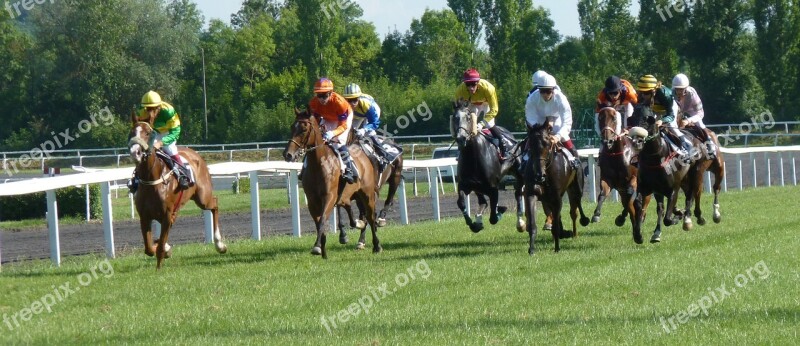 Hippodrome Horse Race Racing Pmu