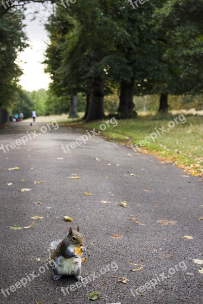 Park London Gita England Gardens