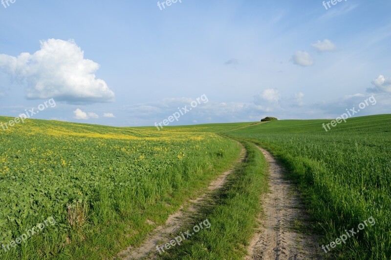 Field Road Agriculture The Way Landscape