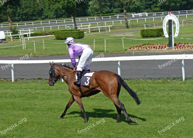 Hippodrome Horses Racing Jockeys Castera-verduzan