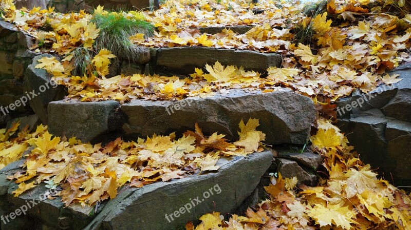 Stone Stairway Forest Gradually Climb Up Out