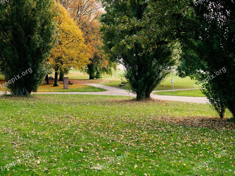 Park Recovery Walk Leaves Rhine