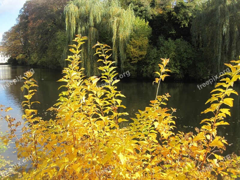 Autumn Mood Autumn Idyll At The Pond Fall Color Pond