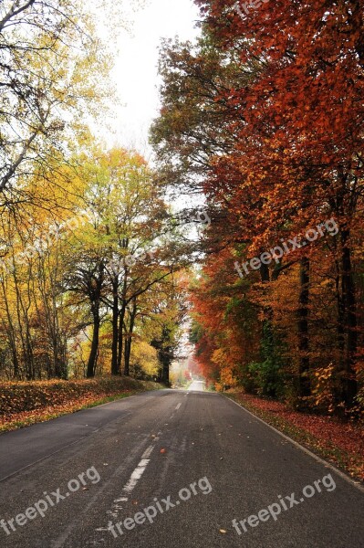 Road Autumn Autumn Landscape Landscape Nature