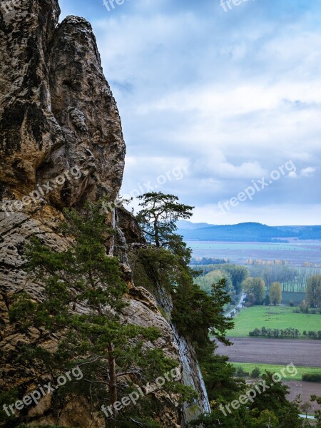 Rock Tree Devil's Wall Mountain Vision