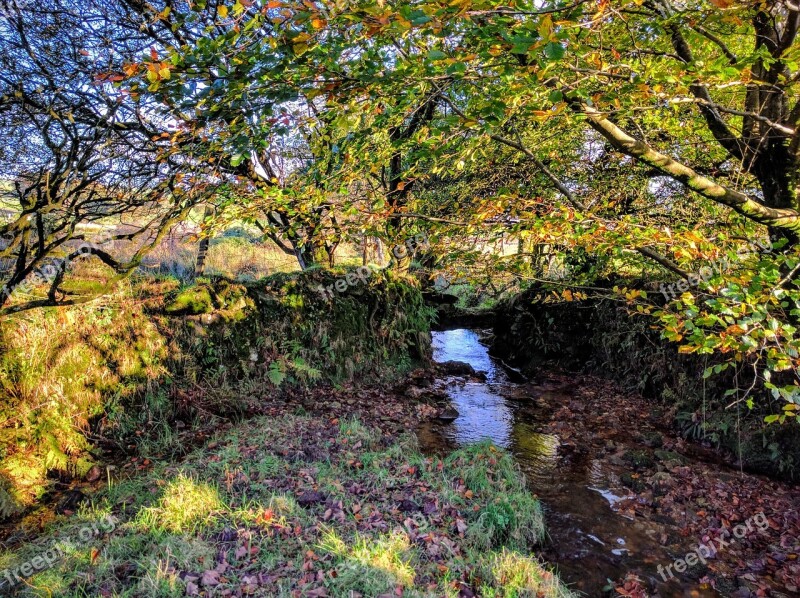 Stream Countryside Autumn Woodland Leaves