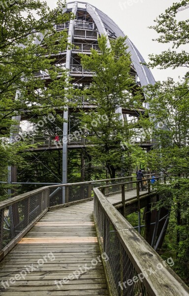 Treetop Path Bavarian Forest Forest Trees Landscape