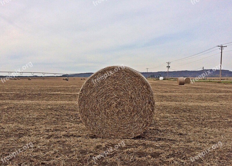 Hay Bale Farm Agriculture Field