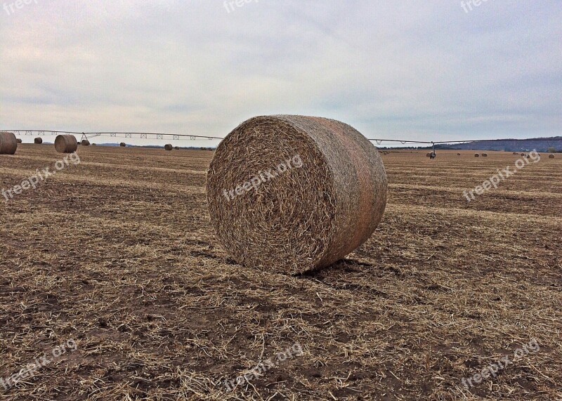 Hay Bale Farm Agriculture Field