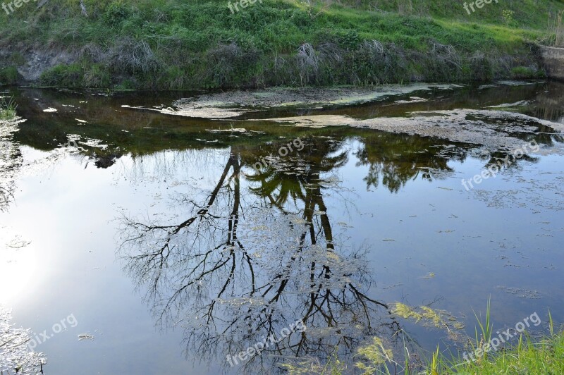 Reflection Water Tree Nature Reflections On The Water