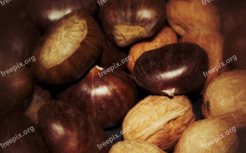 Chestnuts Walnuts November Free Photos