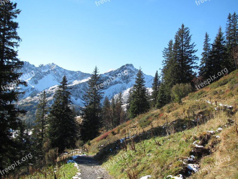 Fellhorn Snow Firs Panorama Nature