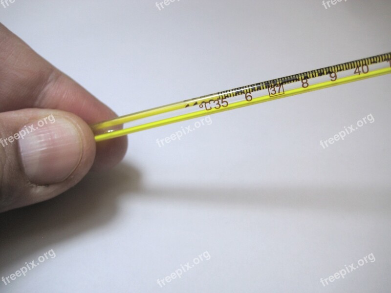 Thermometer Illness Cold Temperature Medical